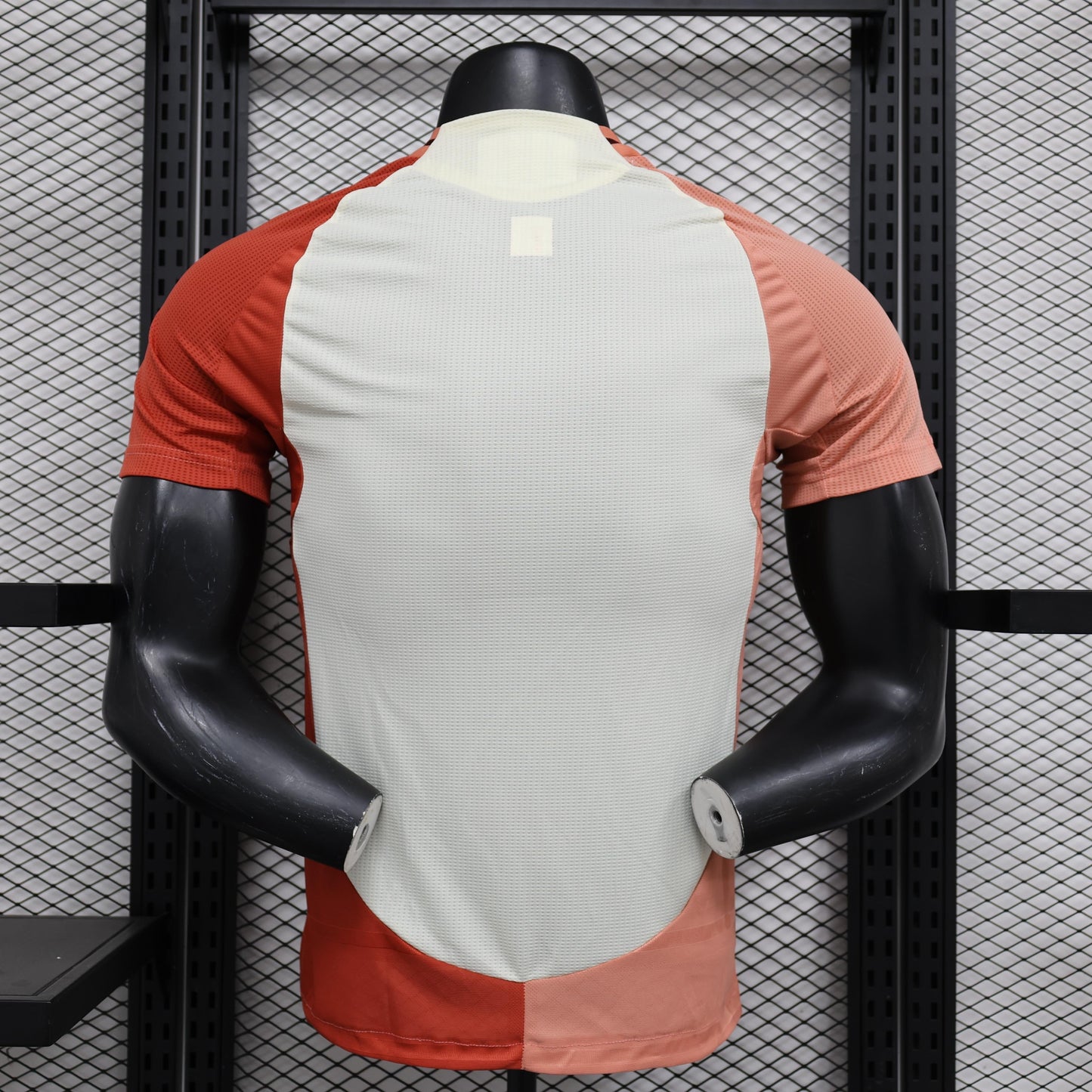 Olympique Lyonals 2024-2025 Third Kit