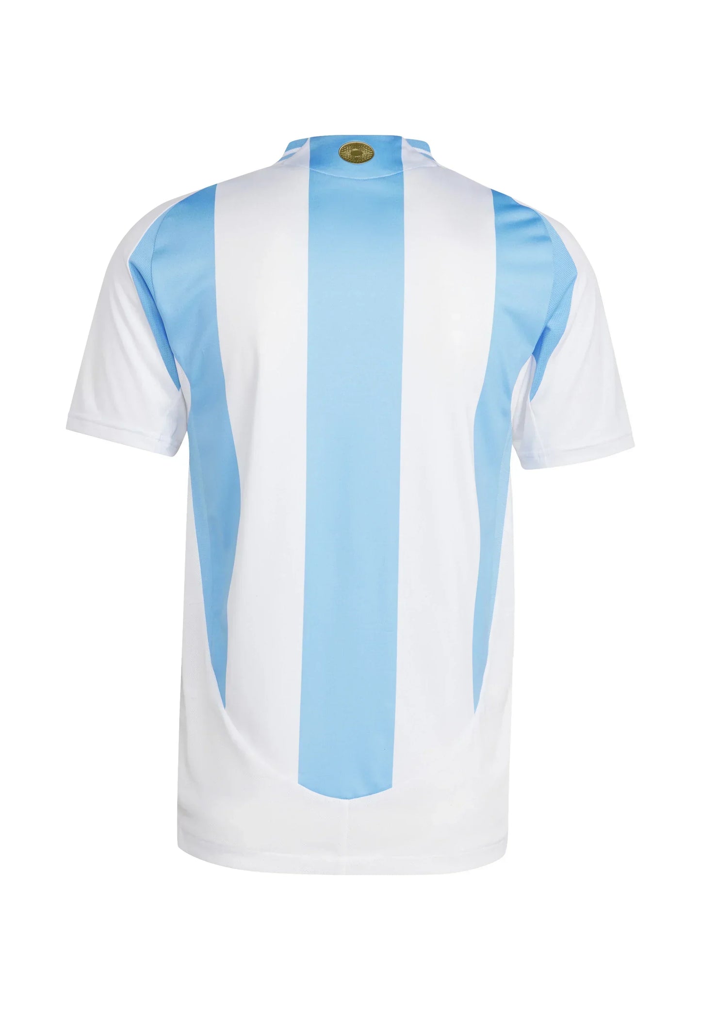2024/2025 Argentina home kit